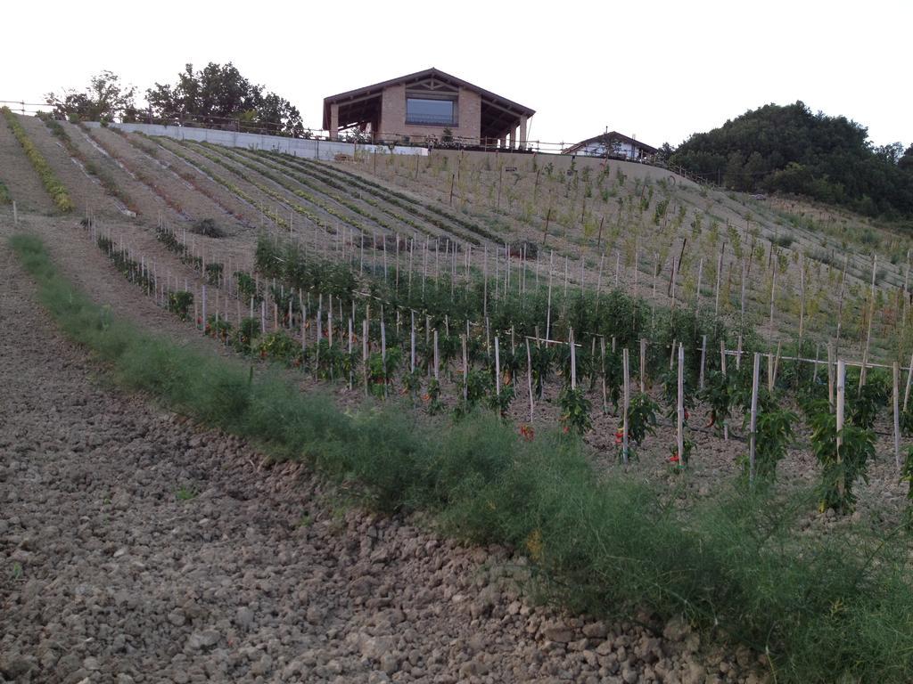 Agriturismo Alba Del Borgo Fidenza Kültér fotó