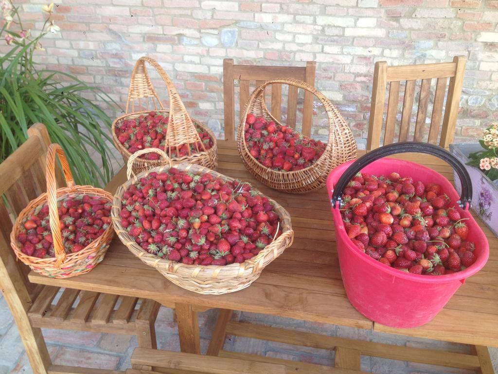 Agriturismo Alba Del Borgo Fidenza Kültér fotó